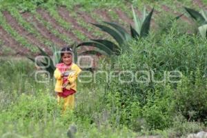 VIDA COTIDIANA. ACAJETE