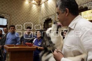 LEY DE PROTECCIÓN A LOS ANIMALES