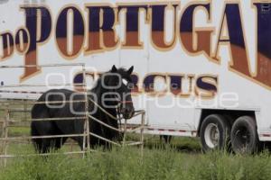 SE INSTALA CIRCO EN PUEBLA