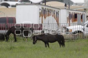 SE INSTALA CIRCO EN PUEBLA