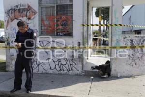 NOTA ROJA . HOMBRE MUERTO