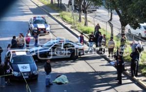 NOTA ROJA . ATROPELLADAS BAJO PUENTE PEATONAL