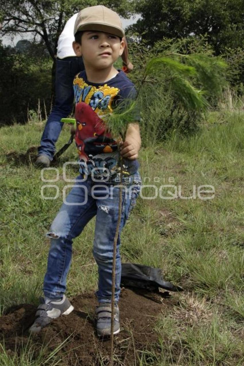 DÍA MUNDIAL DEL MEDIO AMBIENTE