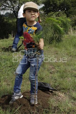 DÍA MUNDIAL DEL MEDIO AMBIENTE