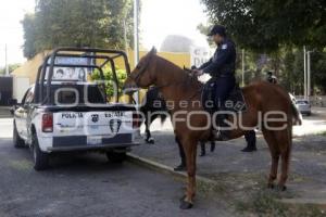 POLICÍA MONTADA