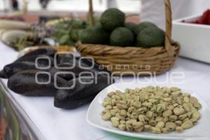 ENCUENTRO CAMPESINO MUNICIPAL