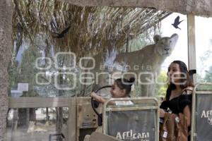 DÍA MUNDIAL DEL LEÓN