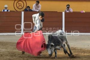 TLAXCALA . TIENTAS PÚBLICAS