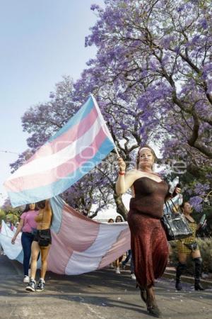 DÍA DE LA VISIBILIDAD TRANS