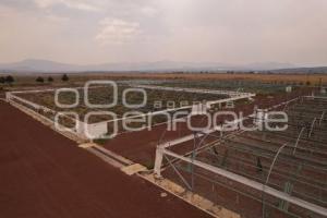 TLAXCALA . VIVERO 23 ZONA MILITAR