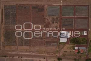 TLAXCALA . VIVERO 23 ZONA MILITAR