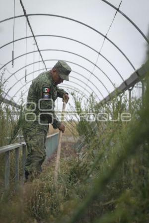 TLAXCALA . VIVERO 23 ZONA MILITAR