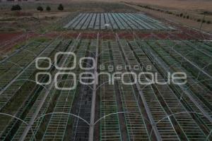 TLAXCALA . VIVERO 23 ZONA MILITAR