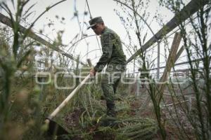 TLAXCALA . VIVERO 23 ZONA MILITAR