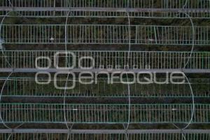 TLAXCALA . VIVERO 23 ZONA MILITAR