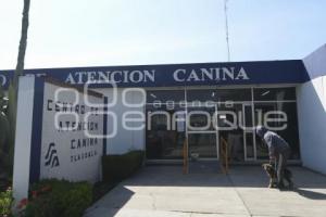 TLAXCALA . MANIFESTACIÓN ANIMALISTAS