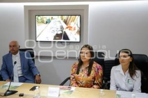 CONGRESO . EL BAMBUSAL