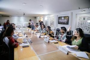 CONGRESO . COMISIONES UNIDAS