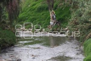 LLUVIAS LIMPIEZA ALSESECA 