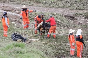 PUENTE NEGRO . LIMPIEZA