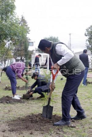 SAN ANDRÉS CHOLULA . REFORESTACIÓN