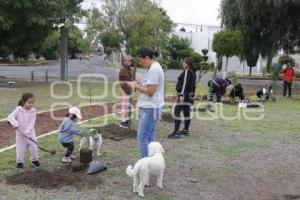 SAN ANDRÉS CHOLULA . REFORESTACIÓN