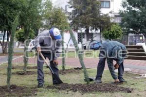 SAN ANDRÉS CHOLULA . REFORESTACIÓN