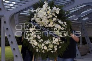 VELORIO CARLOS NAVARRO