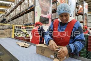 AYUNTAMIENTO . BANCO DE ALIMENTOS