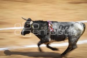 TLAXCALA . FESTIVAL TAURINO