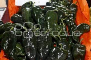 CHILE EN NOGADA . CATÁLOGO