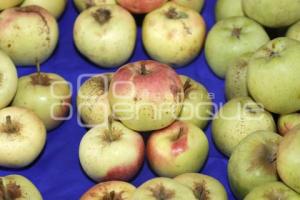 CHILE EN NOGADA . CATÁLOGO