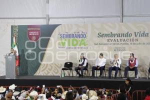 SAN SALVADOR EL VERDE . SEMBRANDO VIDA