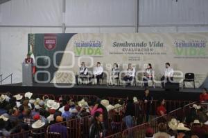 SAN SALVADOR EL VERDE . SEMBRANDO VIDA