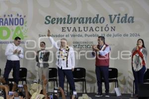 SAN SALVADOR EL VERDE . SEMBRANDO VIDA