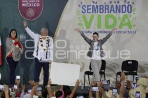 SAN SALVADOR EL VERDE . SEMBRANDO VIDA