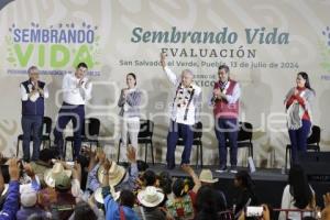 SAN SALVADOR EL VERDE . SEMBRANDO VIDA