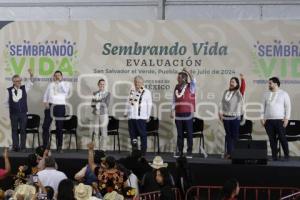 SAN SALVADOR EL VERDE . SEMBRANDO VIDA