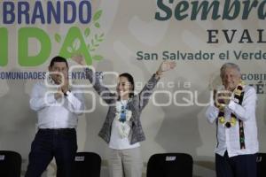 SAN SALVADOR EL VERDE . SEMBRANDO VIDA