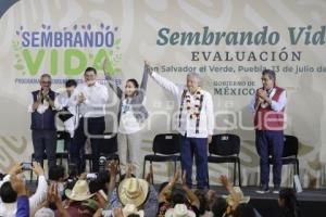 SAN SALVADOR EL VERDE . SEMBRANDO VIDA