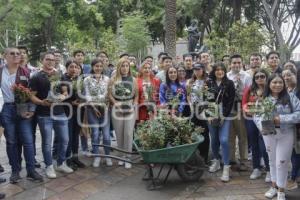 SEMBRANDO ESPERANZA . ROSALES