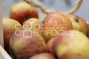 ZACATLÁN . FERIA DE LA MANZANA