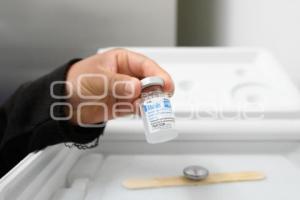 TLAXCALA . VACUNACIÓN COVID-19