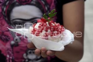 FERIA CUEXCOCHILE EN NOGADA