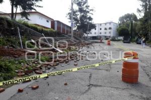 LLUVIA . BARDA CAÍDA