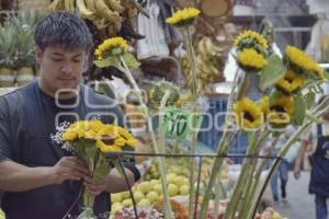 TLAXCALA . FLORES AMARILLAS