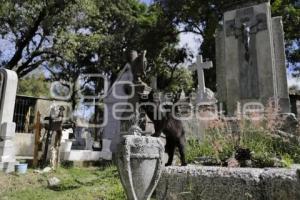 PANTEÓN MUNICIPAL . GATOS