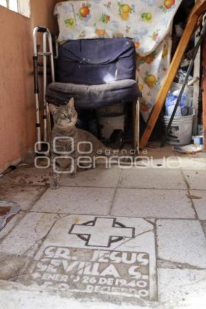 PANTEÓN MUNICIPAL . GATOS