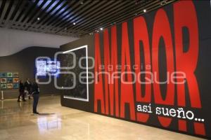 EXPOSICIÓN . AMADOR MONTES