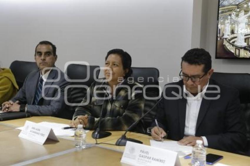 CONGRESO . COMISIÓN DESARROLLO RURAL